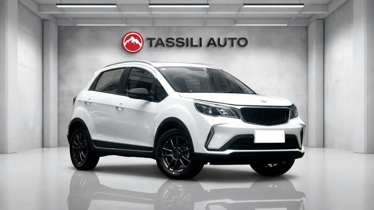 Livan 3X Pro Manual 2026