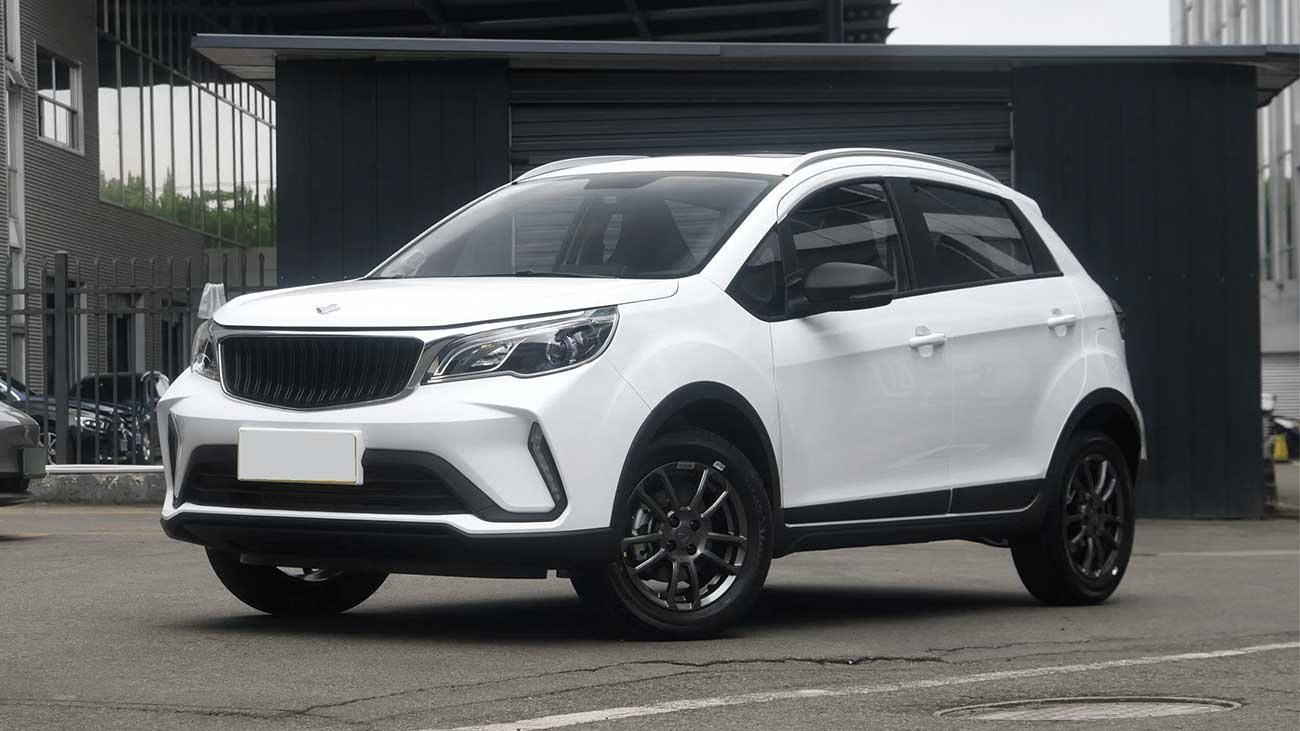 Livan 3X Pro Manual 2026 9